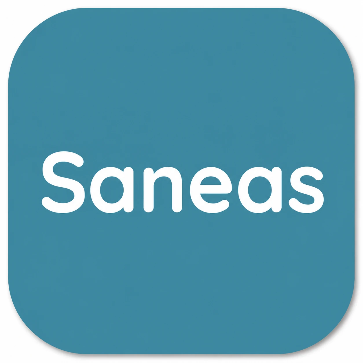 Saneas web